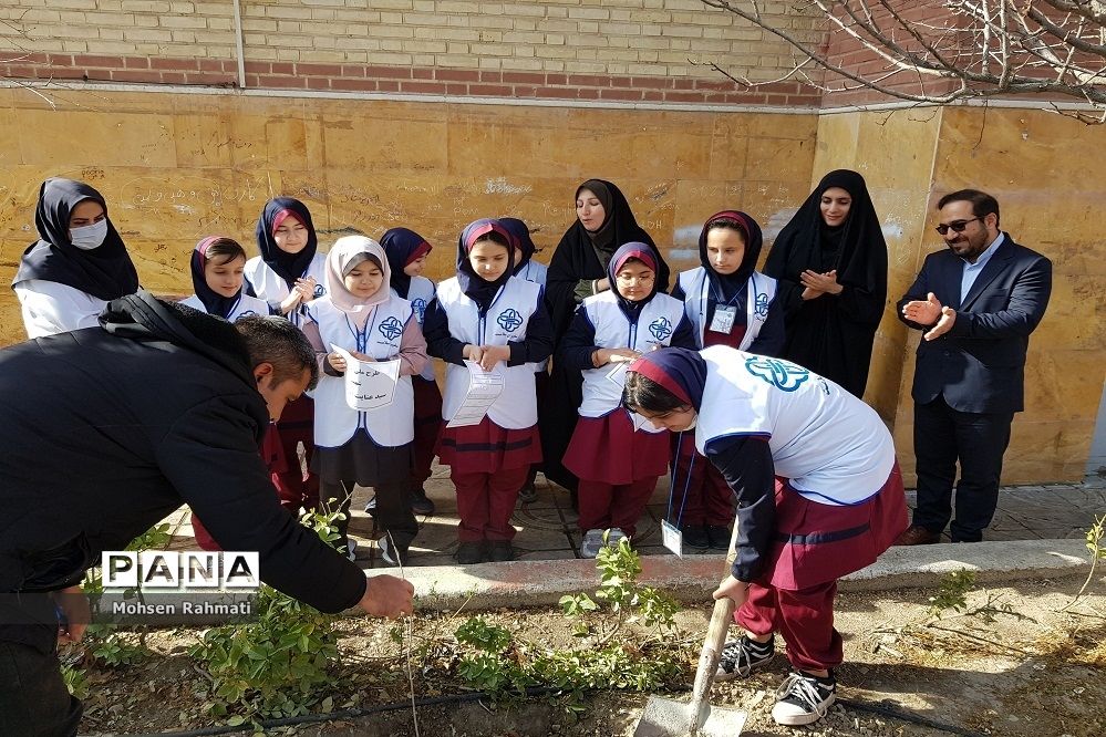 پویش ملی کاشت یک میلیارد درخت در مدارس شهریار