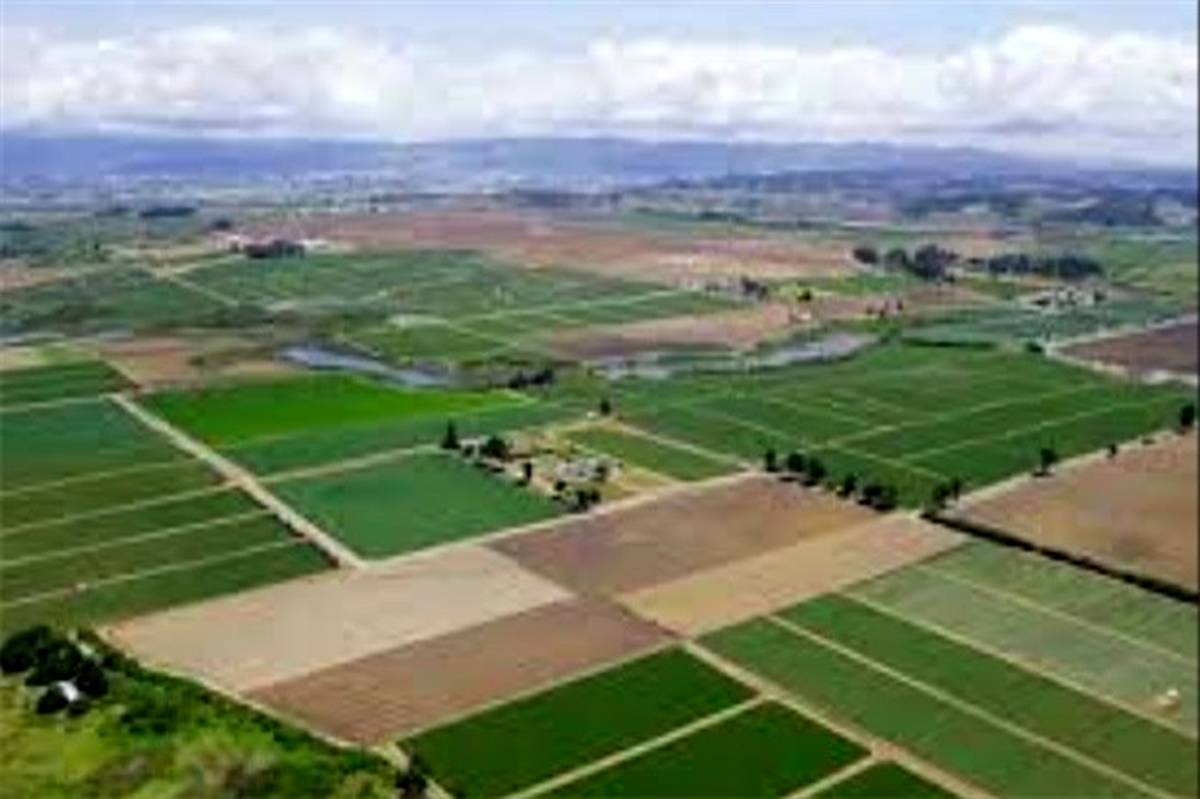 ۱۰ هزار طرح کشاورزی در حوزه آب و خاک کشور در حال اجراست