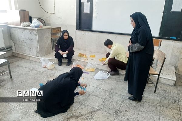 برگزاری دوره آموزشی بازی های فکری رویش ویژه فرهنگیان ناحیه ۳ شیراز