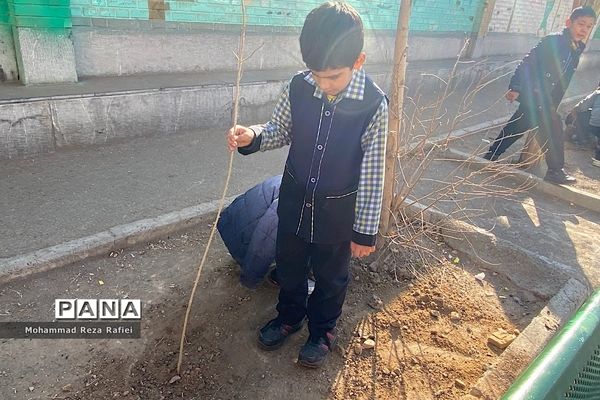 مراسم درختکاری در دبستان امام هادی(ع) ناحیه یک شهرری