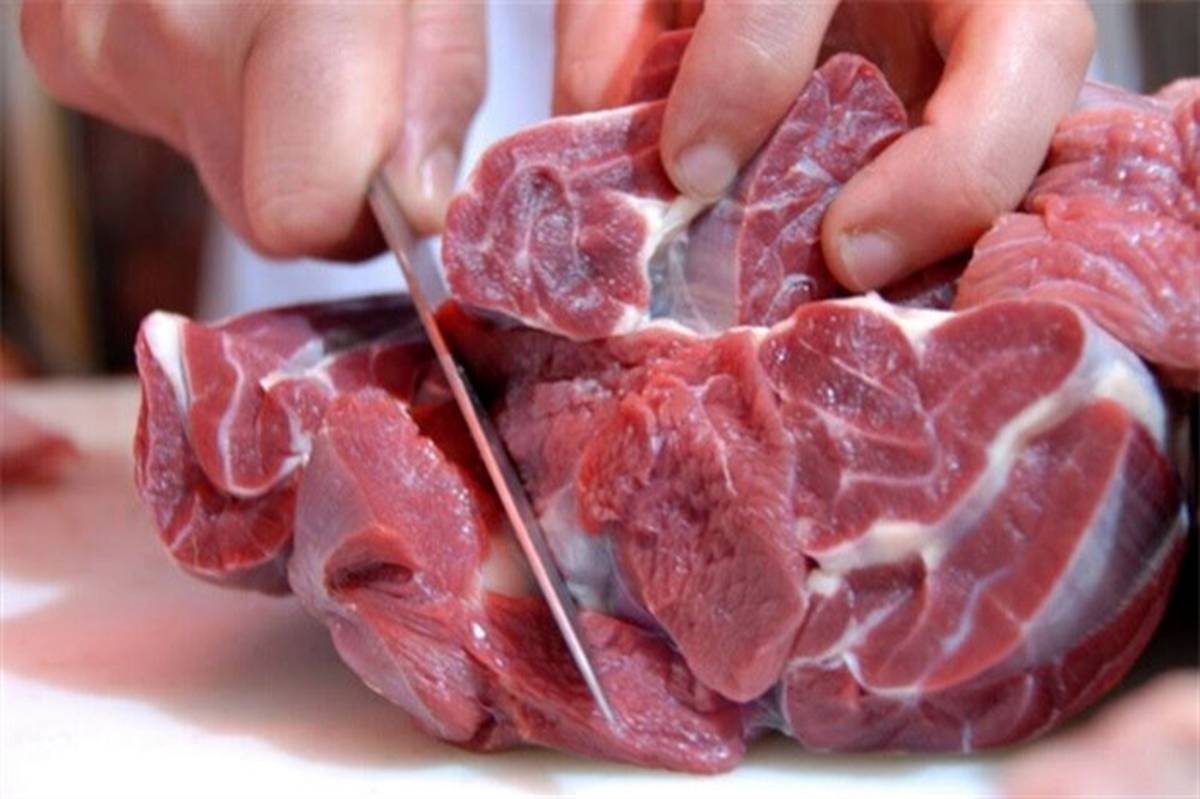 گوشت منجمد وارداتی با قیمت ۲۸۵ هزار تومان توزیع می‌شود