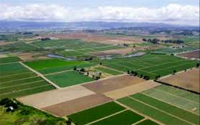 سند مالکیت ۴۳ درصد زمین‌های کشاورزی صادر شد 