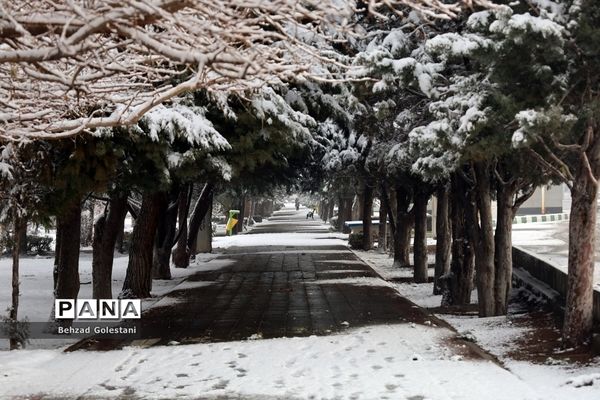 بارش برف در ارومیه