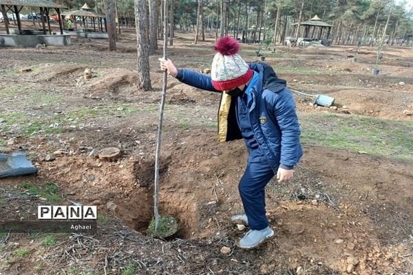 کاشت نهال توسط دانش‌آموزان دبستان پسرانه ابوذر منطقه ۱۳