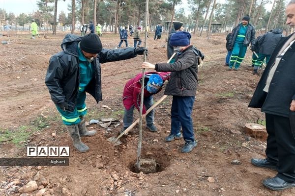 کاشت نهال توسط دانش‌آموزان دبستان پسرانه ابوذر منطقه ۱۳