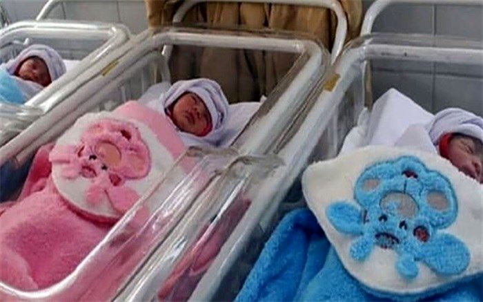 ثبت ولادت‌های حاصل از چندقلوزایی به بیش از 33 هزار رویداد رسید
