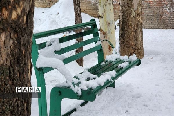 حال و هوای تهرانی ها در یک روز برفی