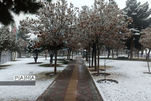 بارش برف زمستانی در فشافویه