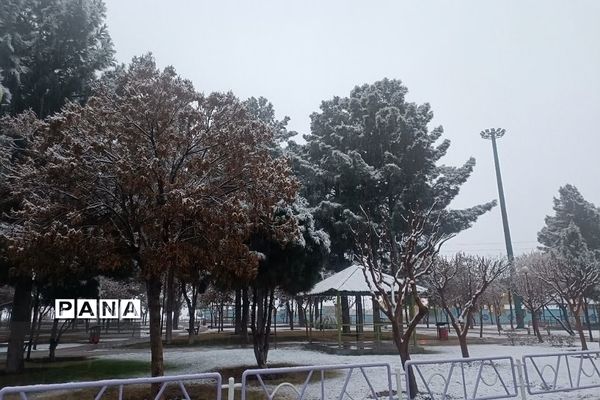 بارش برف زمستانی در فشافویه