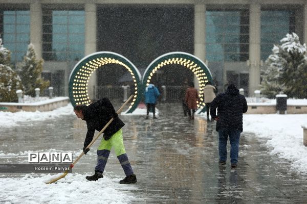 دومین روز چهل و دومین جشنواره بین المللی فیلم فجر