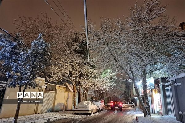 بارش برف زمستانی در مشهد
