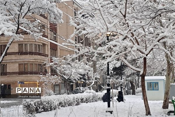 بارش برف زمستانی در مشهد