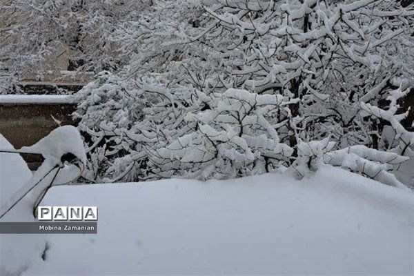 بارش برف زمستانی در مشهد