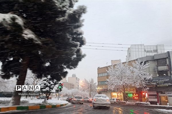 بارش برف زمستانی در مشهد