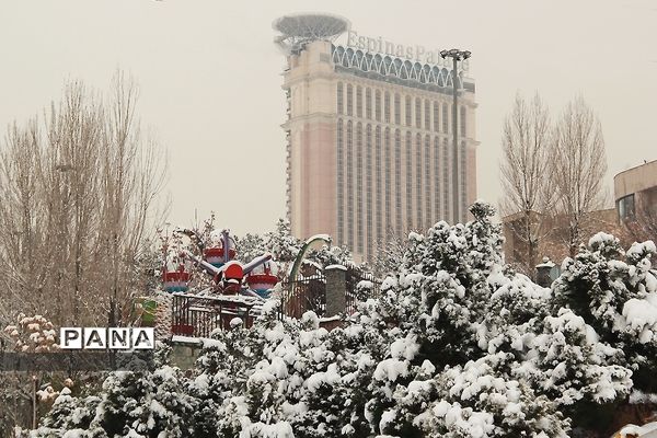 شادی مردم تهران در پی بارش برف زمستانی