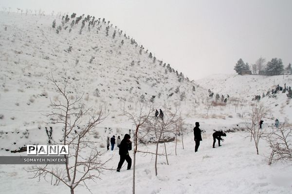 شادی مردم تهران در پی بارش برف زمستانی