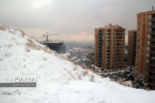 شادی مردم تهران در پی بارش برف زمستانی