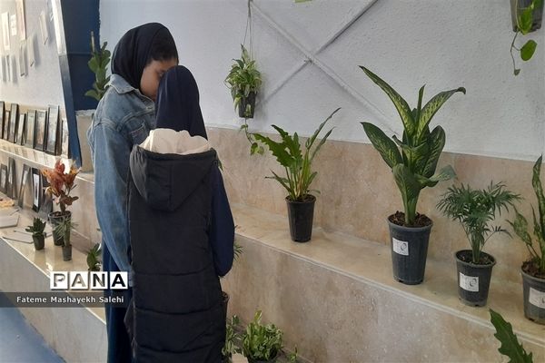 بازارچه کسب و کار و نمایشگاه تولیدات هنرستان‌های شهرستان نور