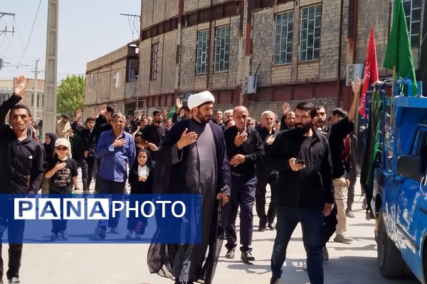 شکوه عزاداران رضوی در لردگان