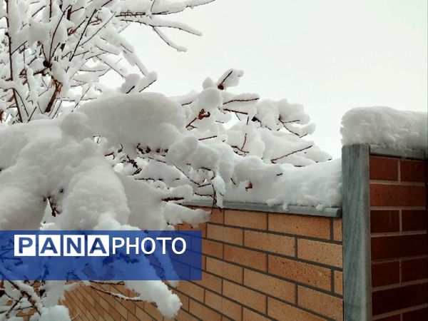 رقص دانه‌های برف در آسمان خاتم؛ شور و هیجان کودکان