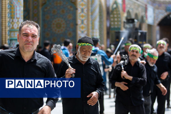 جلوهایی از عزاداری روز تاسوعا در حرم حضرت معصومه(س)
