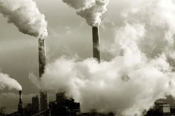 تغذیه سالم در تقویت سیستم ایمنی بدن، نقش کلیدی دارد