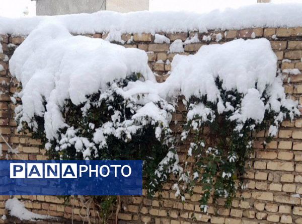 برف زمستانی، مهمان شهرستان کیار