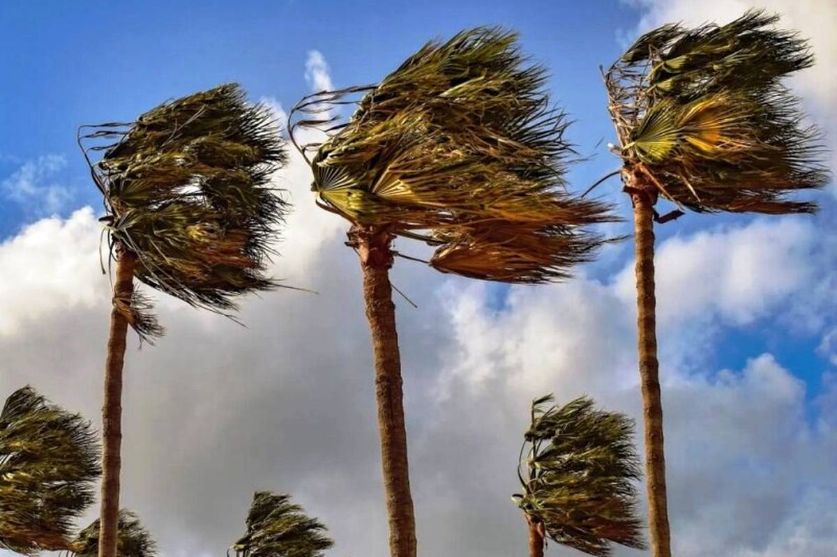 وزش باد شدید در جنوب کشور