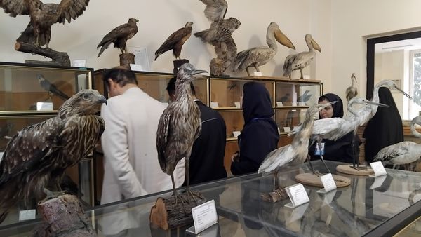 بازدید خبرنگاران فعال پانا از موسسه تحقیقات گیاه‌پزشکی ایران 