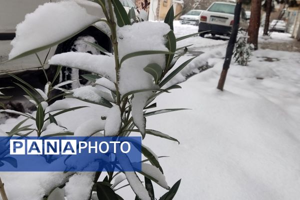 خراسان رضوی به استقبال زمستان رفت