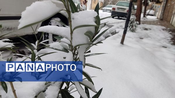 خراسان رضوی به استقبال زمستان رفت
