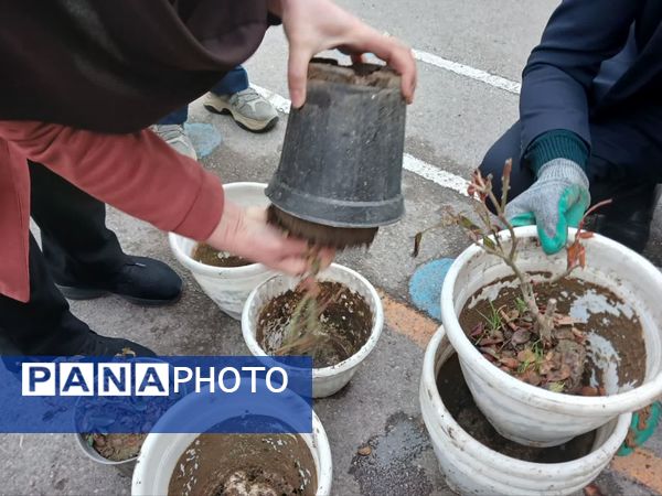 آغاز بهار جوانه سبز سلامتی