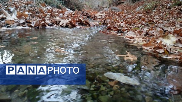 نگاهی کوتاه به طبیعت پاییزی امامزاده بابا پیر احمد (ع) شهرستان بن 