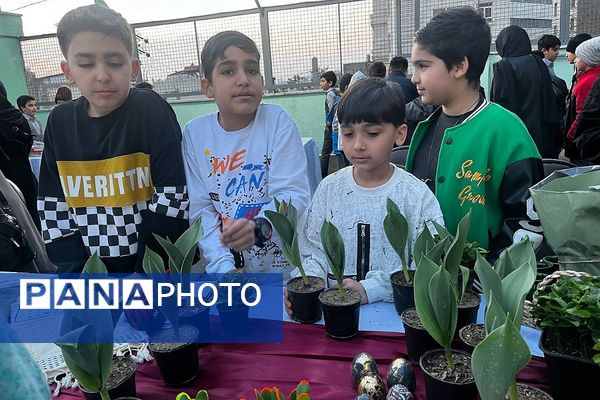 برگزاری جشنواره بهار در بهار در دبستان البرز رودهن 