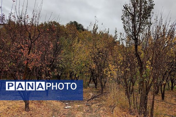 اولین باران پاییزی قابی شفاف از پاییز  رنگارنگ را در شهر زیبای بار رقم زد