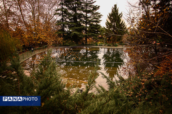 پاییز خیال انگیز در پارک جمشیدیه