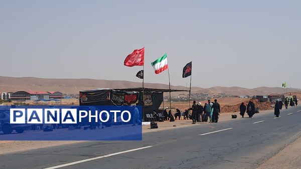 گام هایی از جنس عشق به امام رضا (ع)