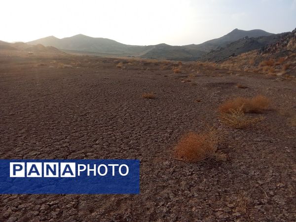 اشک های آخر یک سد در جلگه ای که روزی سبز بود