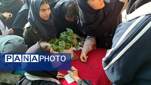 انتخابات شورای دانش آموزی‌ در دبیرستان‌ یغمای‌ نیشابوری(وکیلی 3)