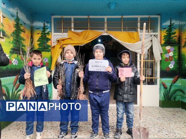 کاشت نهال در دبستان پسرانه مبین شیروان