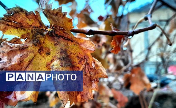 بازگشت باران به میانکوه پس از ماه‌ها خشکسالی