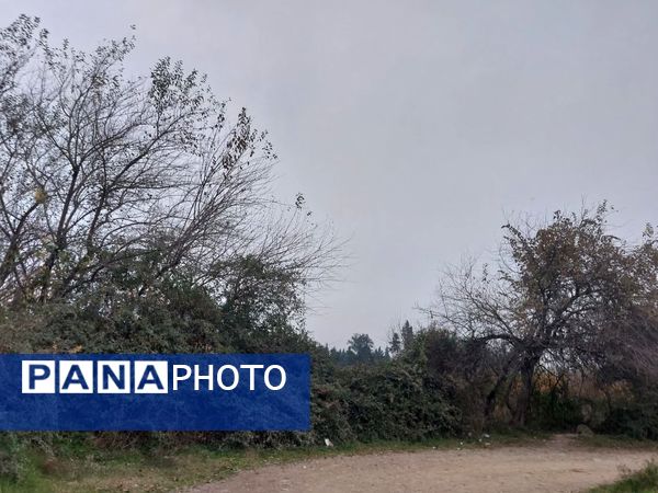 کردکوی، سرسبزترین شهرستان گلستان