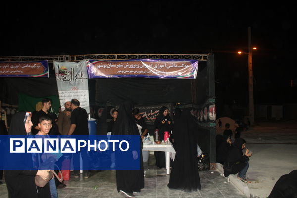 پیاده‌روی اربعین حسینی در بوشهر
