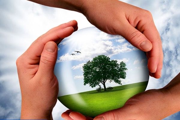 روز ملی محیط زیست یادآور مسئولیت جمعی ما در قبال طبیعت است