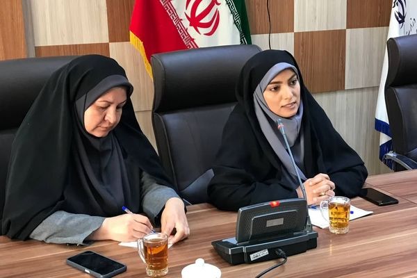 برگزاری همایش بانوان کارآفرین در استان