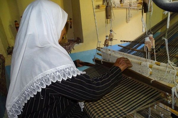 کمبود کارگاه‌های تبدیلی؛ چالش اصلی کرک در شهرستان
سربیشه 