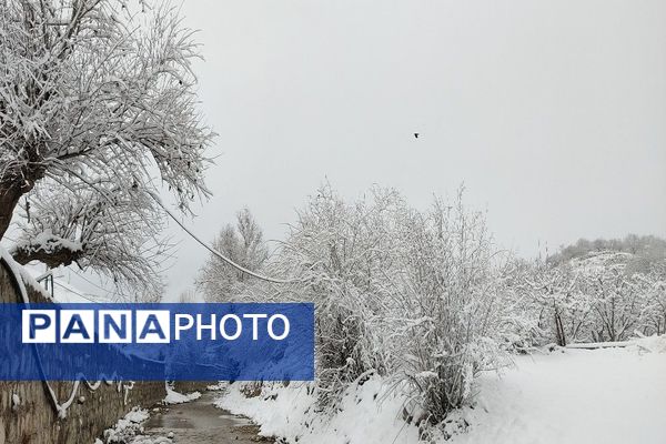 بارش باران و برف در شهر زیبای بار و شادی مردم از نزول رحمت الهی