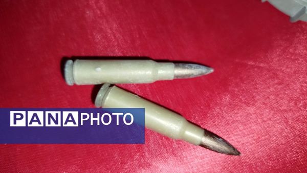 برگزاری کنگره شهدای معلم در استان البرز 