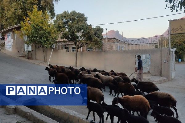 تصاویر زیبا از پاییز رنگارنگ در شهر دار السادات بار نیشابور 