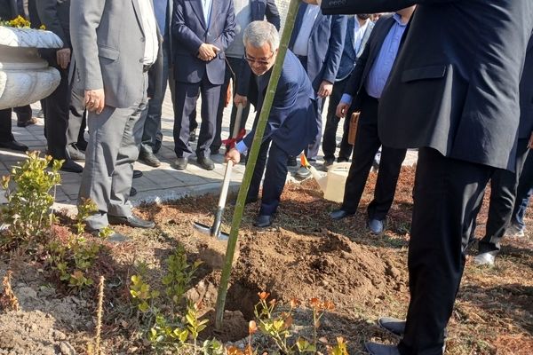 کاشت نهال یادمان صحن دانش تا کرسی قانون‌گذاری 